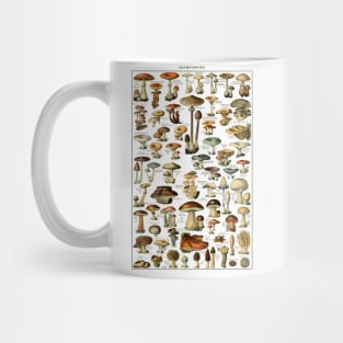 Antique Fungi Collection - Botanical Art Print Mug